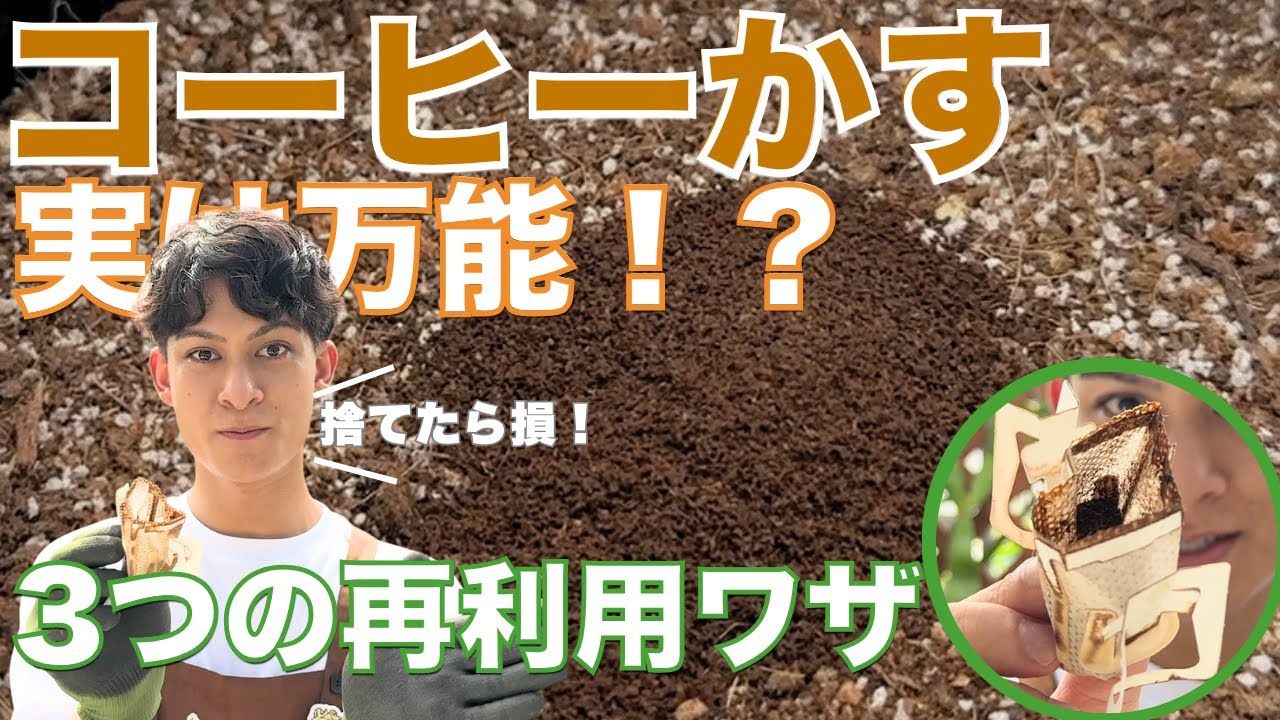 【土づくり・消臭・肥料に！】知らなきゃ損するコーヒーかすの再利用ワザ3選