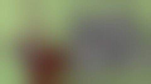 The Vicious Ant KRAKEN  Genesis tank