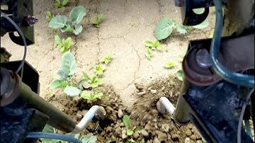 Precision Weeding by FarmWise