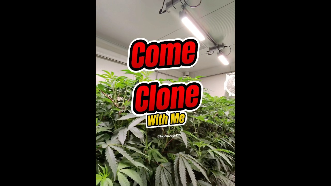 Just another day at the office 