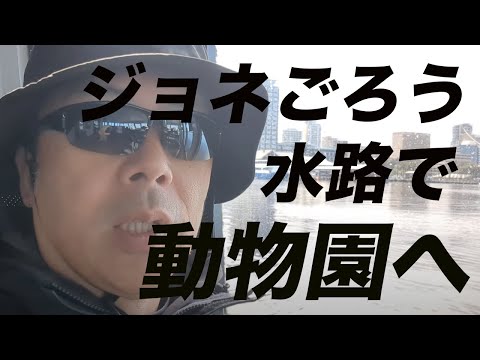ジョネさんぽオーストラリア③動物園へ水路で移動!?ジョネごろうどこにいく!?