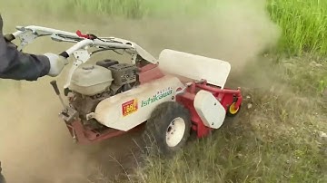 Máy cắt cỏ trục băm làm việc ở địa hình nhiều sỏi đá