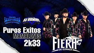 Mix La Fiera De Ojinaga (Exitos Mamalones) - @PuraRazaSaxofonera / Dj Ramiro El Dj De La Raza 2023