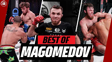 Don't Mess with The TIGER! 🐅 | Magomed Magomedov Highlights | Bellator MMA