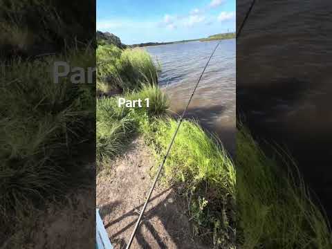 Part 1 of catching this big fish #fishing #saltwaterfix #saltwaterfishing #fish