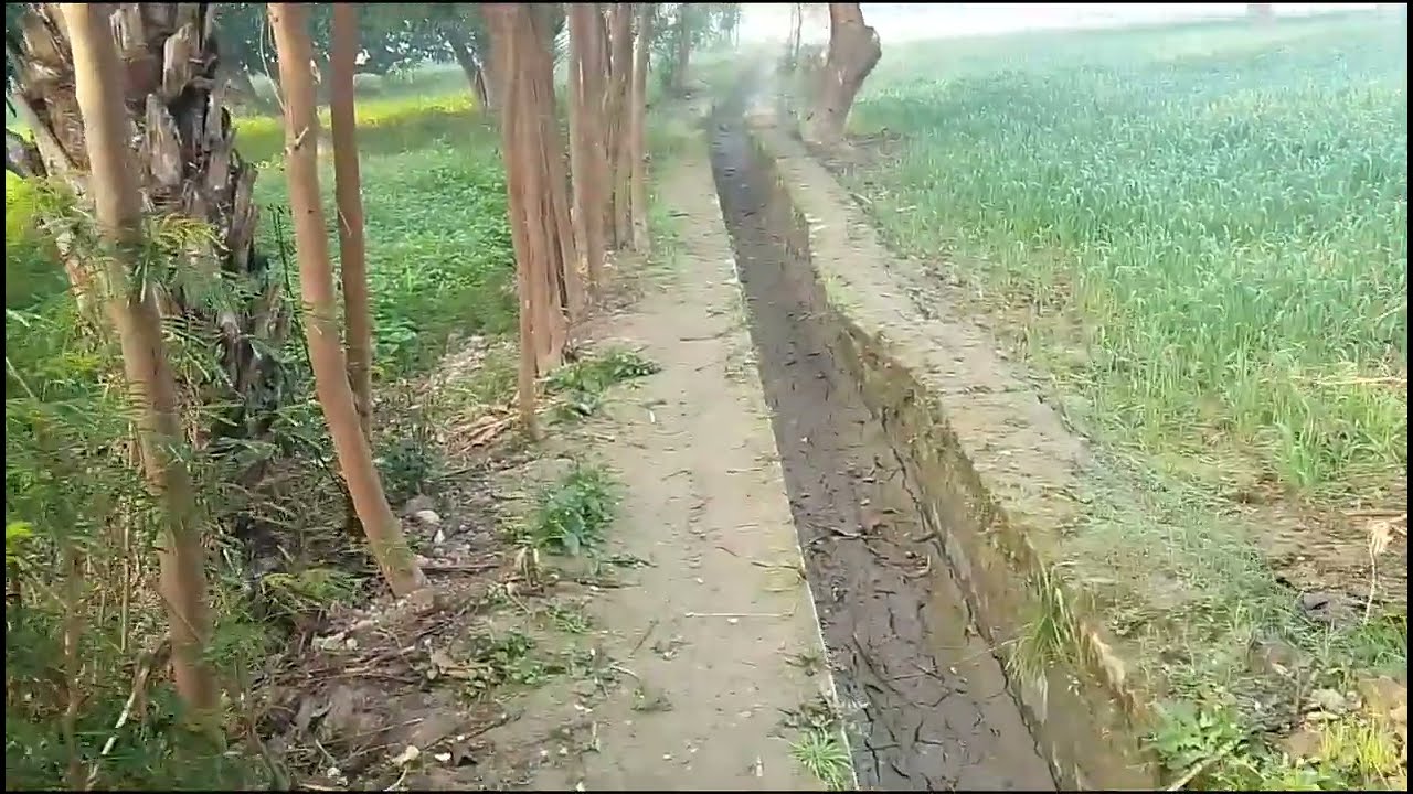 hamen video mein baat karenge pyas per || aur sabji YouTube channel Mehar khan  subscribe 