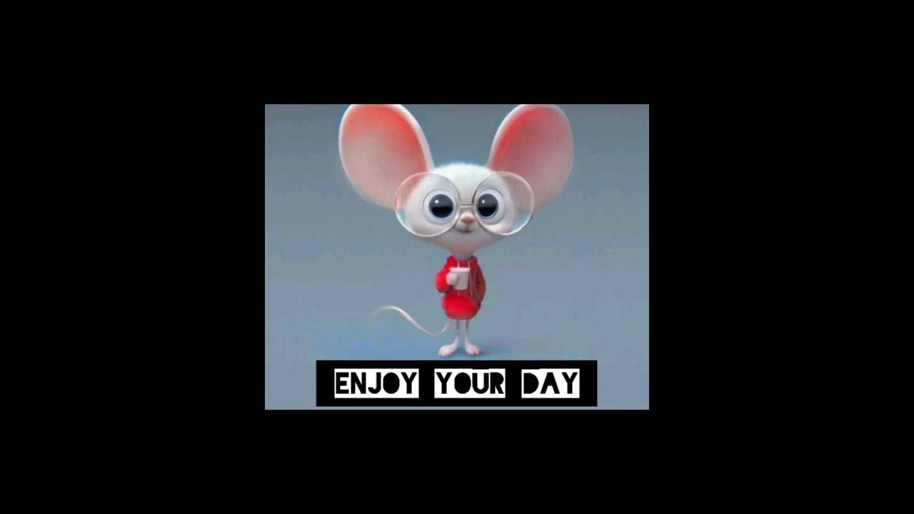 enjoy-your-special-day-youtube