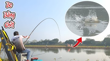 97. CÂU CÁ TRẮM ĐEN TẠI HỒ NƯỚC NÔNG !!!