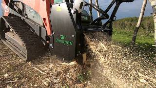 First Run with the Diamond Pro X2 Mulcher (at Darrens Pasture)