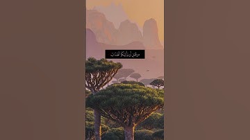 #قران | سورة الزمر {قل ياعبادي الذين أسرفوا على أنفسهم} القارئ #عبدالبديع_غيلان #وذكــــر #quran