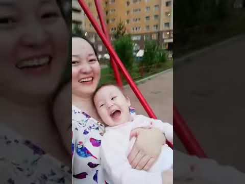 Томи чери точики