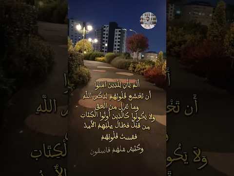 ألم يأن للذين آمنوا أن تخشع قلوبهم لذكر الله وما نزل من الحق قرآن محمد اللحيدان  الحديد