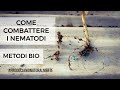 Come Combattere i Nematodi