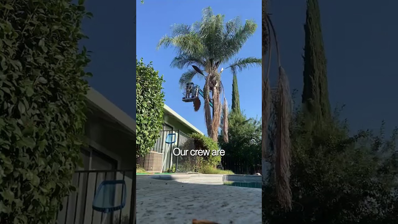 Short-form ad creative by Growth Partners