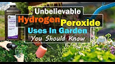 8 Surprising Reasons To Use Hydrogen Peroxide in Your Garden