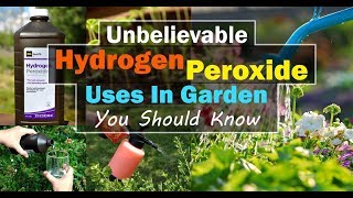 8 Unbelievable Hydrogen Peroxide Uses In Garden You Should Know screenshot 1