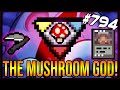 The Mushroom GOD - The Binding Of Isaac: Afterbirth+ #794