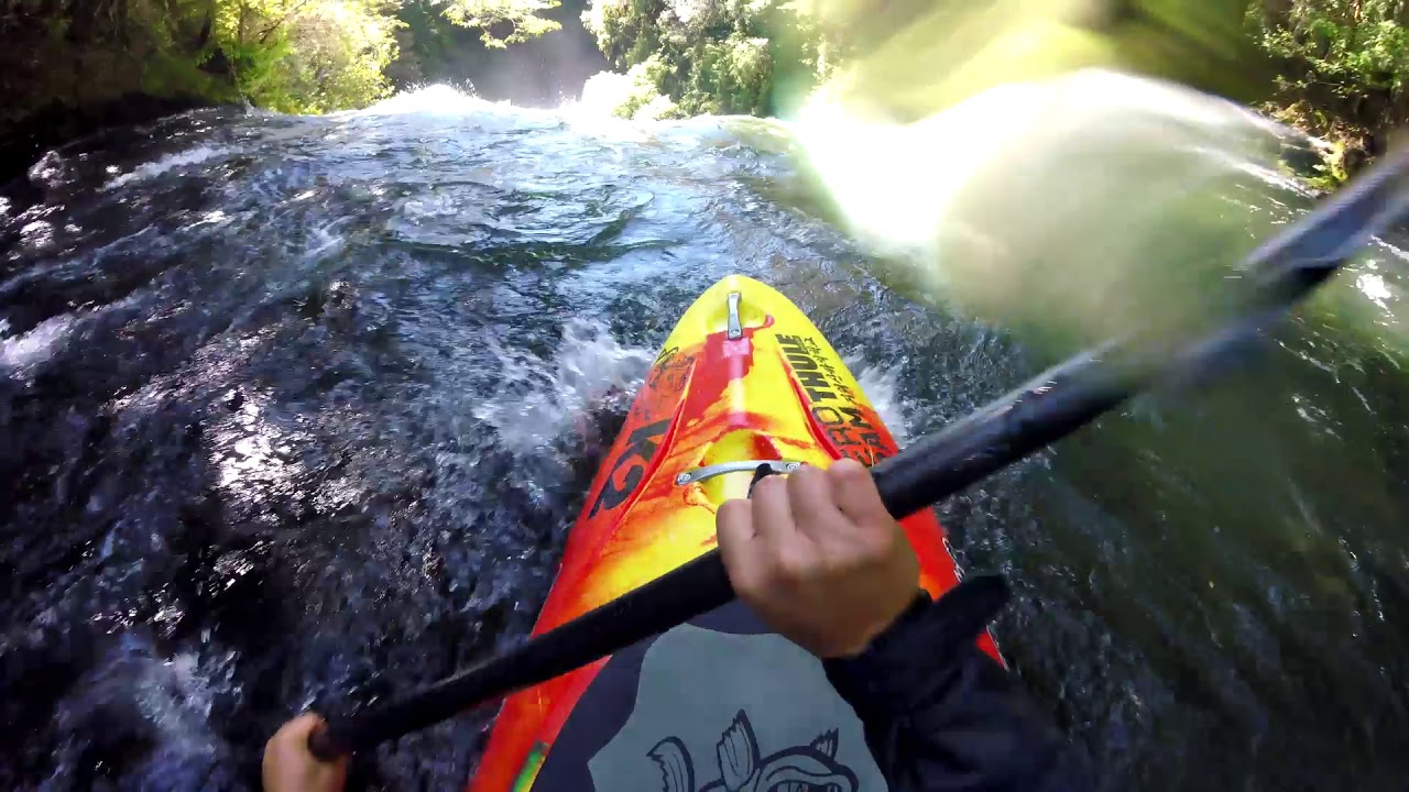 Tomatita, Chile 2017