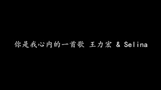 你是我心内的一首歌 王力宏 & Selina