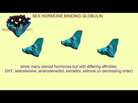 Video: Globulin That Binds Sex Hormones - What Is It? The Norm In The Analysis Of Men And Women