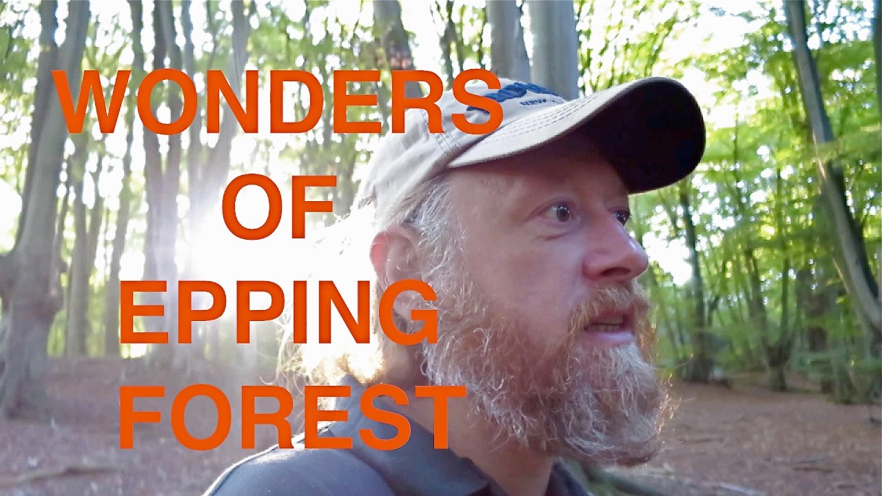 Wonders Of Epping Forest Loughton Camp Ambresbury Banks Youtube