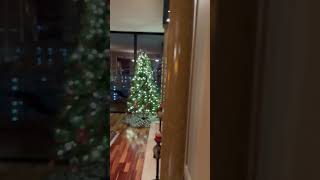 It’s beginning to look a lot like Christmas 🎄 #shorts #christmasshorts #christmas