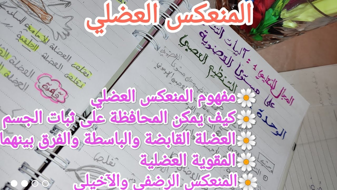 المنعكس العضلي 🧑‍🏫✍️ملخص بسيط وسهل #شامل#ثانية_ثانوي_علوم_تجريبية 🧐🤓#علمني_على_النت.