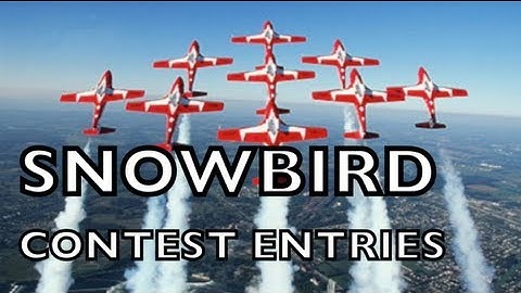 SNOWBIRD CONTEST ENTRIES