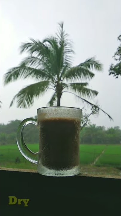 #storywa #ngopi #sawah Kopi | Halusinasi