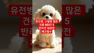 유전병 많은 견종 BEST5 – 입양전 꼭 알아야 합니다 #유전병많은 견종 #강아지 건강 #강아지 유전병 #강아지 고질병 #고질병 견종