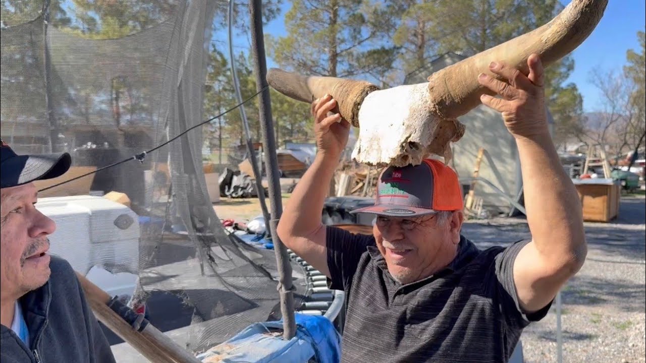 Don Chori Recibe Los Cuernos Bien Puestos, Un Gran Regalo De Piñitas!