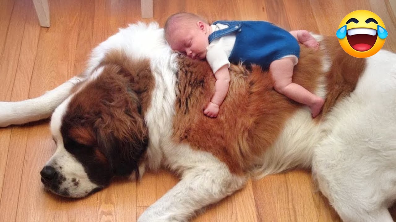 When your dog sees you as their heartbeat rhythm. 🥁