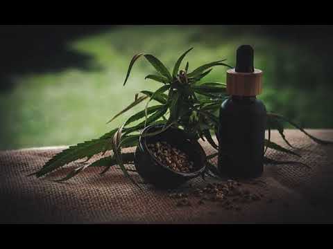 Lost Thc Infused Thca Gummies Review