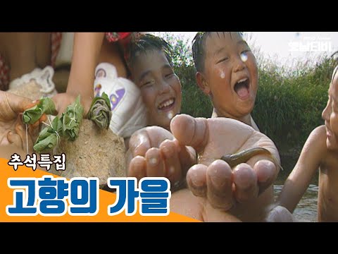 Capa de [추석특집] 영상구성 - 고향의 가을 | 19960927 KBS방송