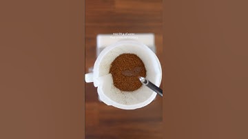 Hario V60 | Brew Guide