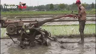 Makin Sore..!! Traktor Sawah Garu Sawah Cepat Cepat Selesaikan Kerjaan