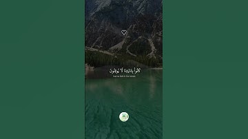 سورة النمل  " الآية 82 - 83 - 84 "  🕋