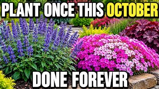 Too Lazy to Garden? Plant These 11 Perennials This OCTOBER — They Come Back Every Year