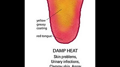 Chinese Medicine: Damp Heat
