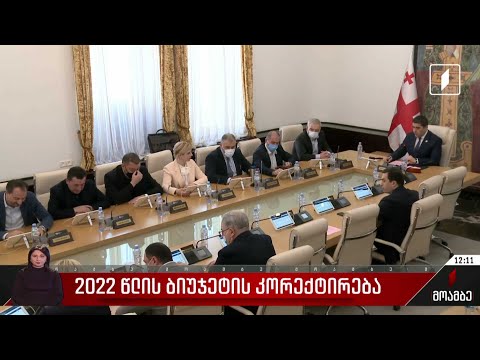 2022 წლის ბიუჯეტის კორექტირება