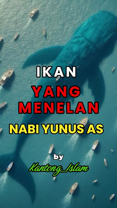Ikan Nun lebih besar dari ikan paus, ikan yang menelan Nabi Yunus #dakwah #islam #ikannun #religion