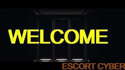 Introduction to Escort Cyber Forensics