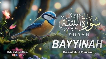 সুন্দর শান্তিময় কোরআন তেলাওয়াত |সূরা বাইয়্যিনা | (سورة البايينه) হাফিজ মুহাম্মদ শাহজাদ