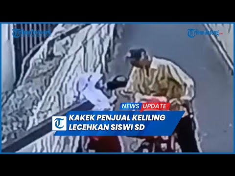 Terekam Detik-detik Kakek Penjual Keliling Lecehkan Siswi SD di Gang Sepi