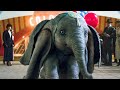Dumbo Flies For The First Time Scene - DUMBO (2019) Movie Clip
