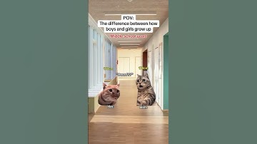 CAT MEMES 🐱The difference between how boys and girls grow up #catmemes #relatable #relationship