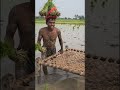 #shorts #shortsfeed #trending #viral #reels #foryou #status #ytshorts #youtubeshorts #news #creative
