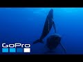 Gopro the raw beauty of our planet earth in 4k