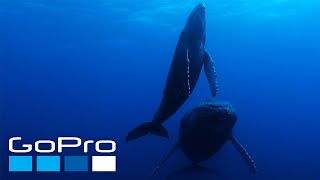GoPro: The Raw Beauty of Our Planet Earth in 4K