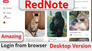 How To Open Rednote App Account On My Laptop Computer Rednote Xiaohongshu Official Website Login